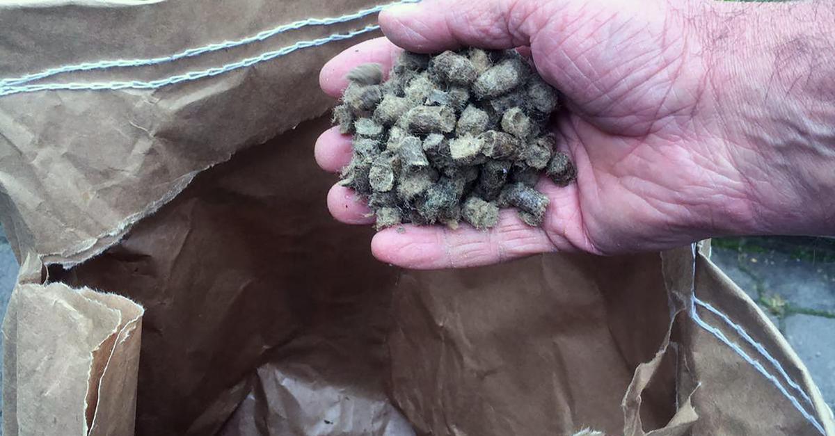 DüngerPellets aus Odenwälder Schafwolle