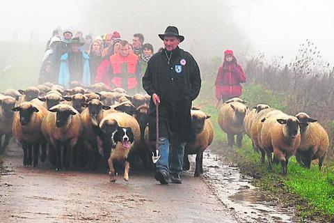 In eine ungewisse Zukunft gehen sieht Schäfer Bernd Keller (hier mit seiner Herde auf dem Weg zum Stall bei Rehbach) die Schafhaltung im Odenwald. Foto: Martina Kaffenberger 