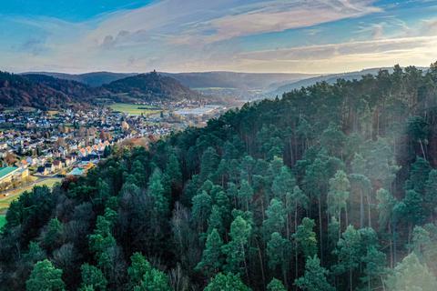 Eine neue Markenstrategie soll den touristischen Erfolg der Region  Odenwald-Bergstraße (Blick auf den Breuberg) nachhaltig sichern helfen.