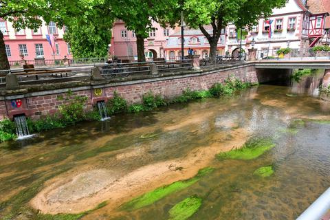Wie niedrig die Wasserstände sind, zeigt sich auch bei einem Spaziergang an der Mümling in der Erbacher Innenstadt. Foto: Dirk Zengel