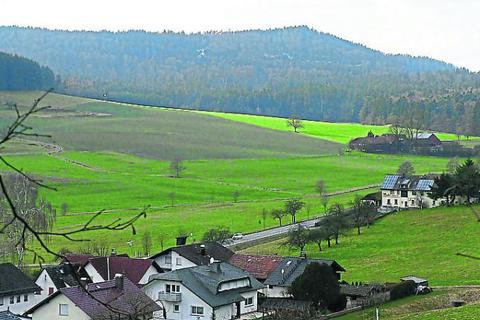 Um den Kahlberg (hier vom Mossautaler Ortsteil Hiltersklingen) streiten Windräder-Projektierer und Anlagen-Gegner. Foto: Grünewald 