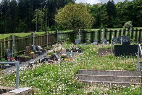 Auf dem Friedhof in Unter-Mossau ist nicht nur zwischen den Urnengräbern lange nicht gemäht worden. 