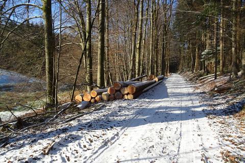 In ihrer Waldwirtschaft erwartet die Gemeinde Mossautal immerhin ein Plus, ansonsten werden keine rosigen Zahlen für das kommende Jahr erwartet. © Dieter Berlieb