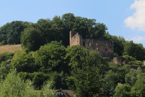 Oberhalb der Burgruine Freienstein liegen die städtischen Grundstücke von 42 Hektar, die als Wildnisgebiet in der Debatte und als Vorranggebiet für Windkraft ausgewiesen sind. Thomas Wilken