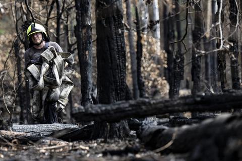 4500 Einsatzkräfte haben den Waldbrand bei Münster eine Woche lang 24/7 gelöscht. Für die Feuerwehr Münster geht der Einsatz nun mit einer Brandwache weiter. Foto: dpa