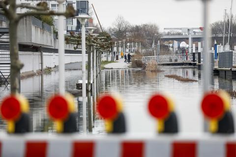 Wie im vergangenen Jahr kommt es im Hafen von Wiesbaden-Schierstein immer wieder zu Hochwasser. Foto: Lukas Görlach