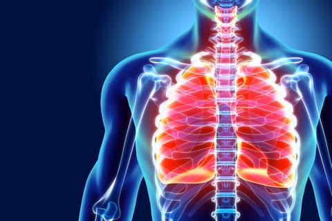 "Erstaunlicherweise liegen die Lungenerkrankungen bei den Risikofaktoren eher hinten", sagt Prof. Dr. Claus Franz Vogelmeier. Foto: yodiyim - stock.adobe.com