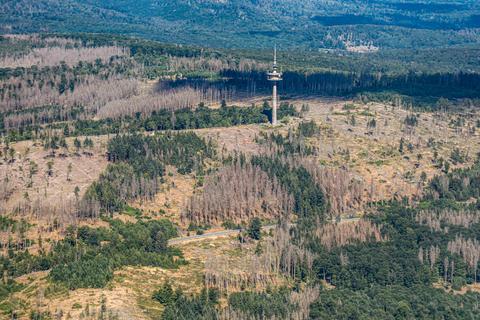 Mancherorts ist der Wald auf großen Flächen abgestorben - wie hier im Taunus rund um die Hohe Wurzel. © Harald Kaster
