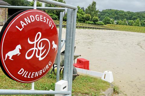 Das Thema hessisches Landgest&uuml;t in Dillenburg bestimmte voriges Jahr die Schlagzeilen im Lahn-Dill-Kreis. Welche Rolle spielte es bei der Landtagswahl?  Foto: Archiv