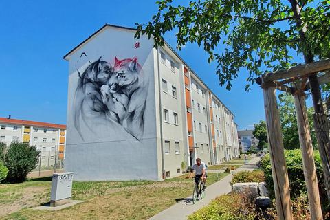 Die chinesische Street-Art-Künstlerin „SATR“ ist der jüngste internationale Star der Szene, der ein sogenanntes Mural im Open-Urban-Art-Museum in Mannheim hinterlassen hat. Ihr Wandbild „Whisper“ ist auf dem Waldhof entstanden. Foto: Manfred Ofer