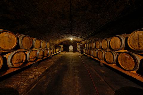 Ein Granit-Ei unter Holzfässern: Auch Winzer Carsten Saalwächter aus Ingelheim baut Wein in Steinfässern aus..