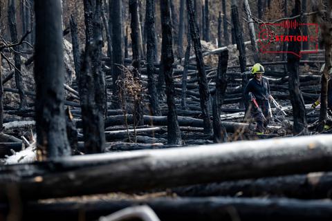 In Münster haben die Einsatzkräfte lange gegen den Brand gekämpft. Doch was passiert mit dem Wald, wenn das Feuer aus ist. Foto: dpa/ Boris Roessler