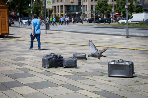 Am Wiesbadener Hauptbahnhof sind Tauben allgegenwärtig. Derzeit findet man dort aber auch tote Tiere. Archivfoto: Lukas Görlach