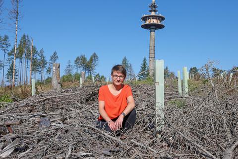 „Wir haben mehr als 100 Hektar Stadtwald verloren“, sagt Uta Brehm. Die Bundestagskandidatin der Grünen will sich in Berlin für den Klimaschutz einsetzen, das käme auch ihrer Wahlheimat Wiesbaden zugute. Brehm sitzt für unser Bild zwischen Setzlingen auf den Kahlflächen der Hohen Wurzel. Sie sagt: „Wir müssen unser Klima schützen, für uns und für kommende Generationen.“ Foto: René Vigneron