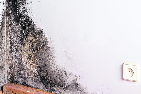 Schimmel in der Wohnung ist für die Bewohner nicht nur ein Ärgernis, sondern auch ein erhebliches Gesundheitsrisiko. 