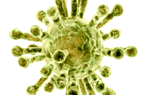 Das Corona-Virus. Foto: stock.adobe 