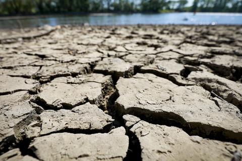 Die Auswirkungen der Dürre auf die Landwirtschaft.  Foto: Lukas Görlach