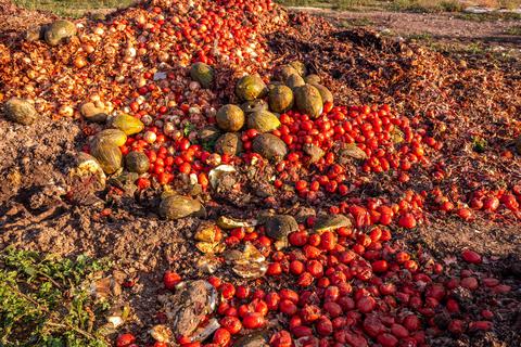 Laut einer Studie der Umweltorganisation WWF in Zusammenarbeit mit dem Lebensmitteleinzelhändler Tesco werden jährlich weltweit allein in der Landwirtschaft 1,2 Milliarden Tonnen Lebensmittel verschwendet. 
