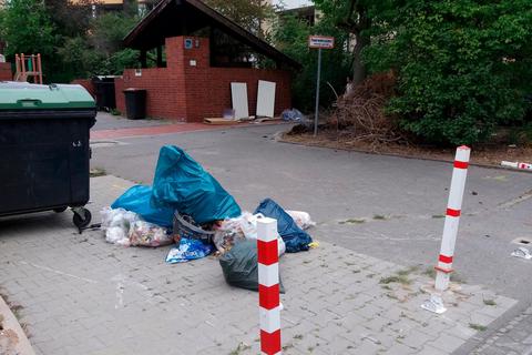 Vor der Bauverein-Wohnanlage in Kranichstein liegt häufig wilder Müll neben den Containern. Foto: Ursula Krämer 