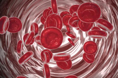 Rote Blutkörperchen. Foto: fotolia_dr.kateryna