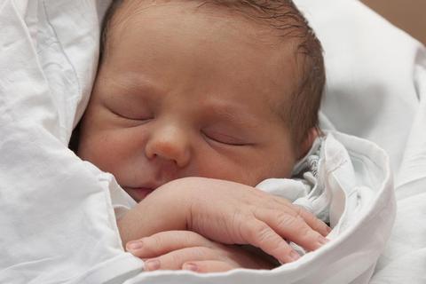 Ein neugeborenes Baby. Foto: herrndorff_images – stock.adobe