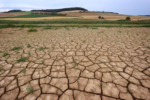 Pflanzen wachsen vereinzelt auf rissigem Ackerboden.  Foto: Karl-Josef Hildenbrand/dpa 