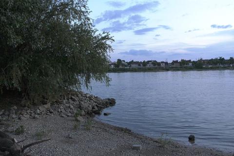 An dieser Stelle in Trebur gingen ein Fünfjähriger und seine Mutter in den Rhein. Foto: Keutz-TV News