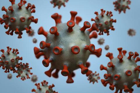 Das Coronavirus. Foto: dpa