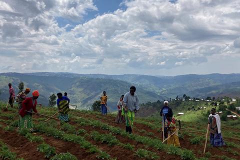 Ursprünglich Regenwaldjäger: Die diskriminierte Volksgruppe der Batwa erhalten durch ein landwirtschaftliches Sozialprojekt eine neue Lebensgrundlage. 