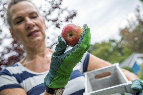 Eine Frau begutachtet einen Apfel