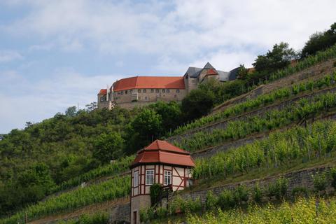 Ein Winzerhäuschen steht mitten in den Weinreben vor der Neuenburg. Foto: Claudia Diemar