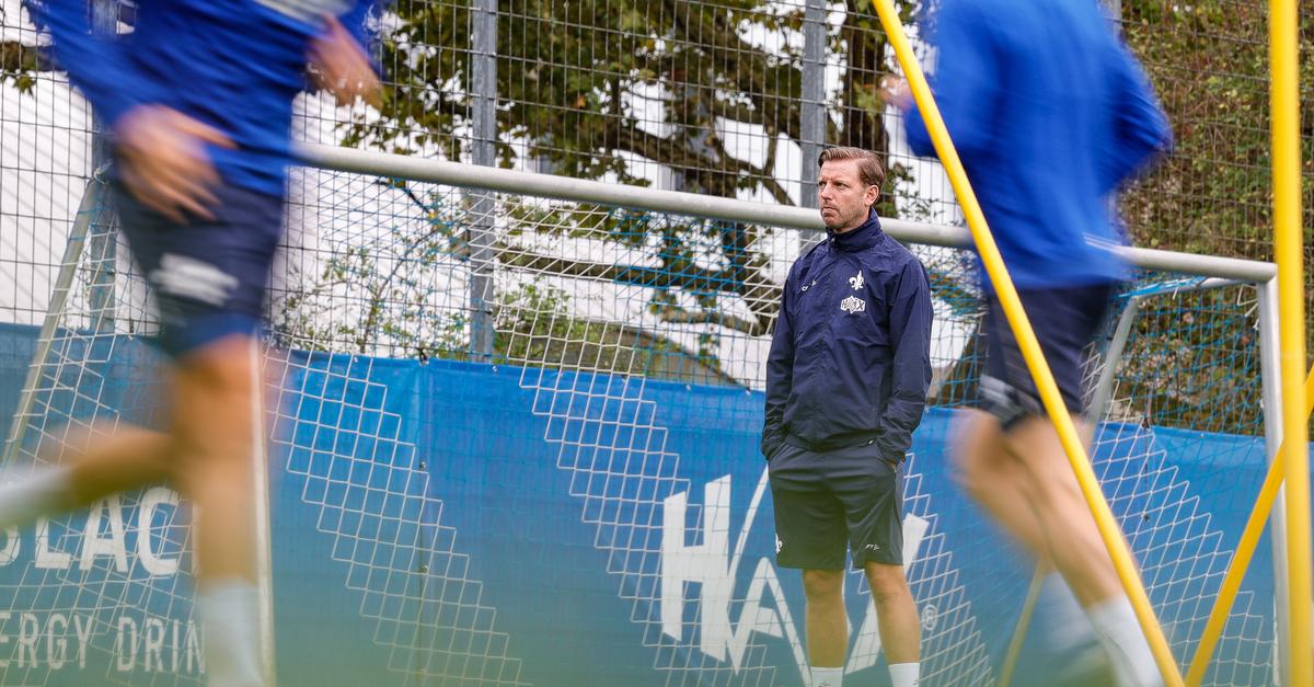 SV Darmstadt 98: Trainer Kohfeldt gibt Einblicke in Personalplanung