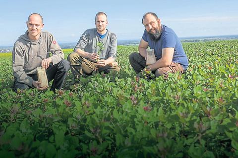 Auf drei Feldern in Modau, Habitzheim und Brensbach wächst der Quinoa von Mario Schuchmann, Johannes Böhm und  Andreas Michel (von links). Fotos: Guido Schiek